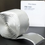 PM1101